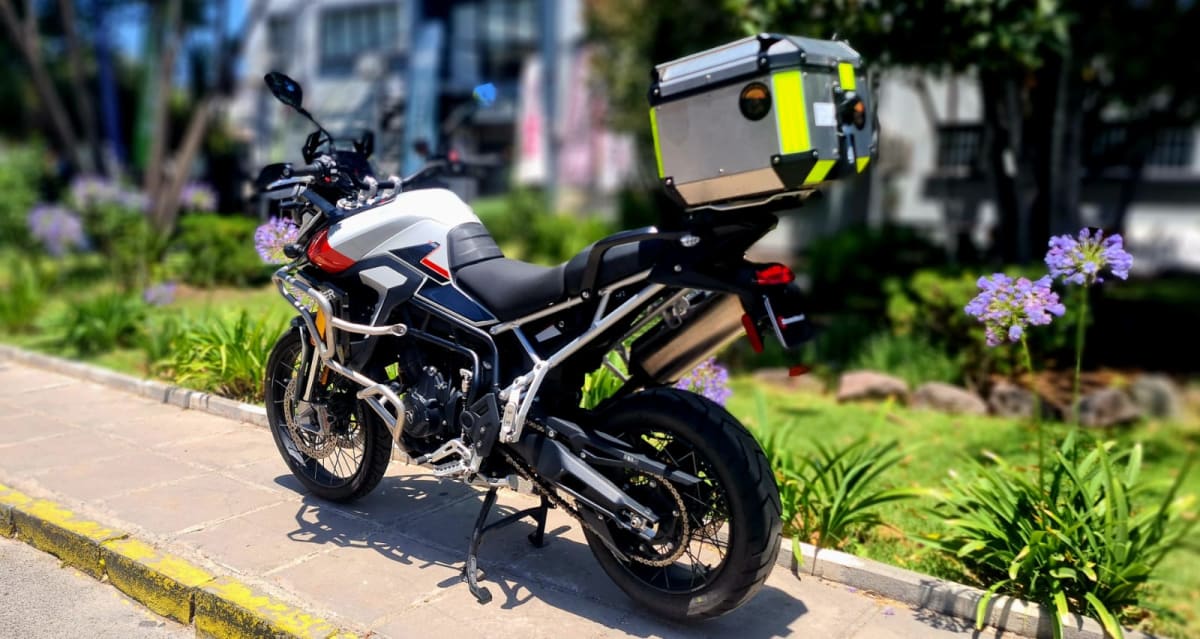 TRIUMPH TIGER 900 RALLY PRO 20257