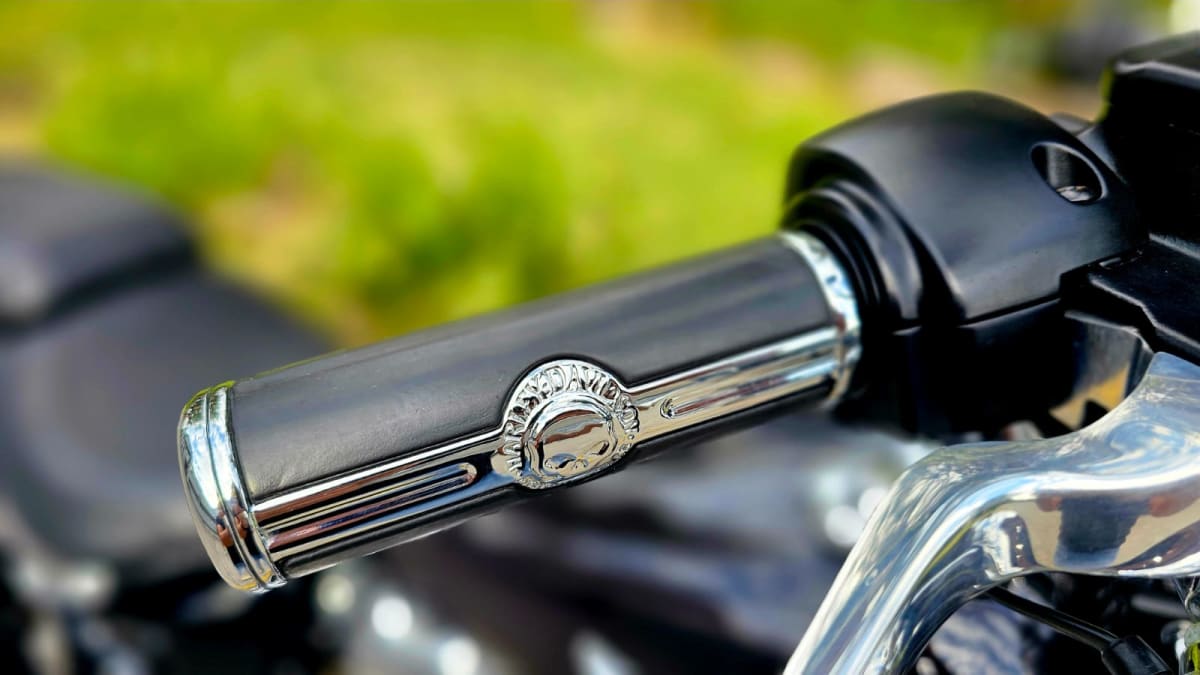 HARLEY-DAVIDSON FAT BOY 114 20219