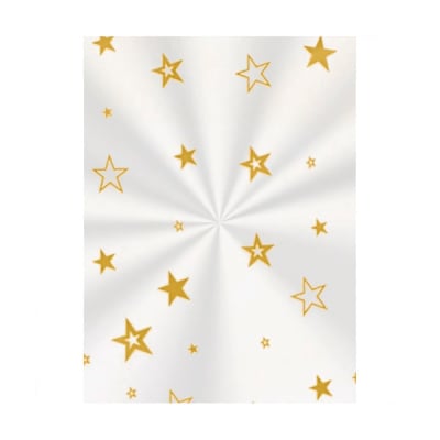 Bolsa Poli Transparente Estrella Dorada 11x19,5 cm. 100 Un.1