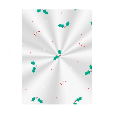 Bolsa Poli Transparente Muerdagos 11x19,5 cm. 100 Unid.