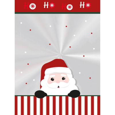 Bolsa Poli Transparente Santa 13.5x22.5 cm. 100 Unidades