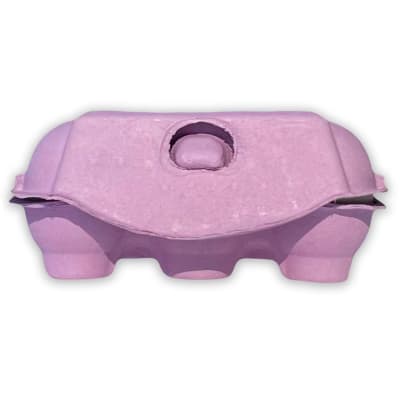 Caja para 6 Huevos Cartón Lila 6 Unidades