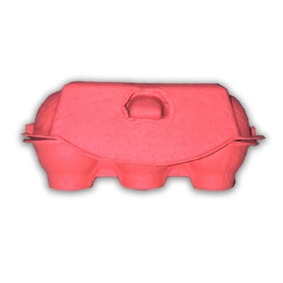 Caja para 6 Huevos Cartón Sandía 6 Unidades