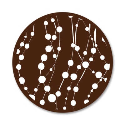 Transfer para Chocolate Guirnalda Blanca 01-0821