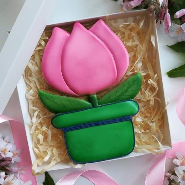 Cortador Plástico Flor Galletón N°62