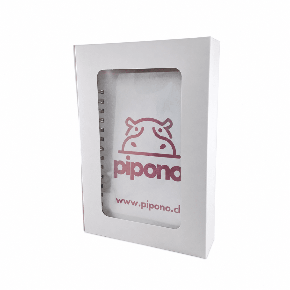Caja Cartulina Blanca 25x17x5 cm. 10 Unidades4