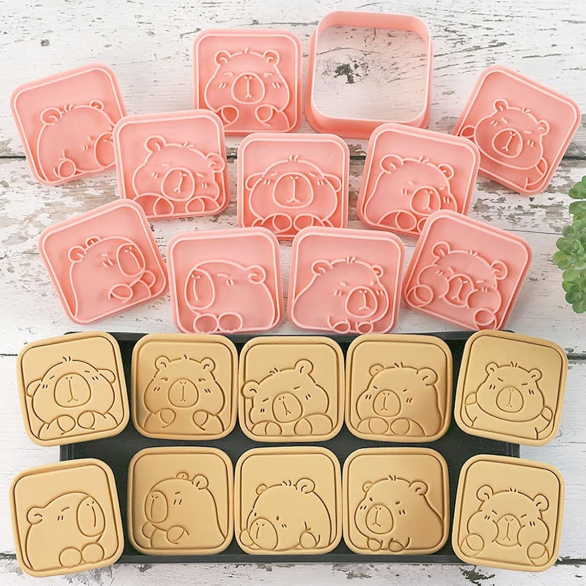 Set Cortador Marcador Capibara N°1 - 10 Diseños2