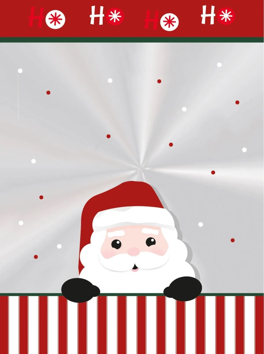 Bolsa para Pan de Pascua 500 gr. Santa 10 Unidades1