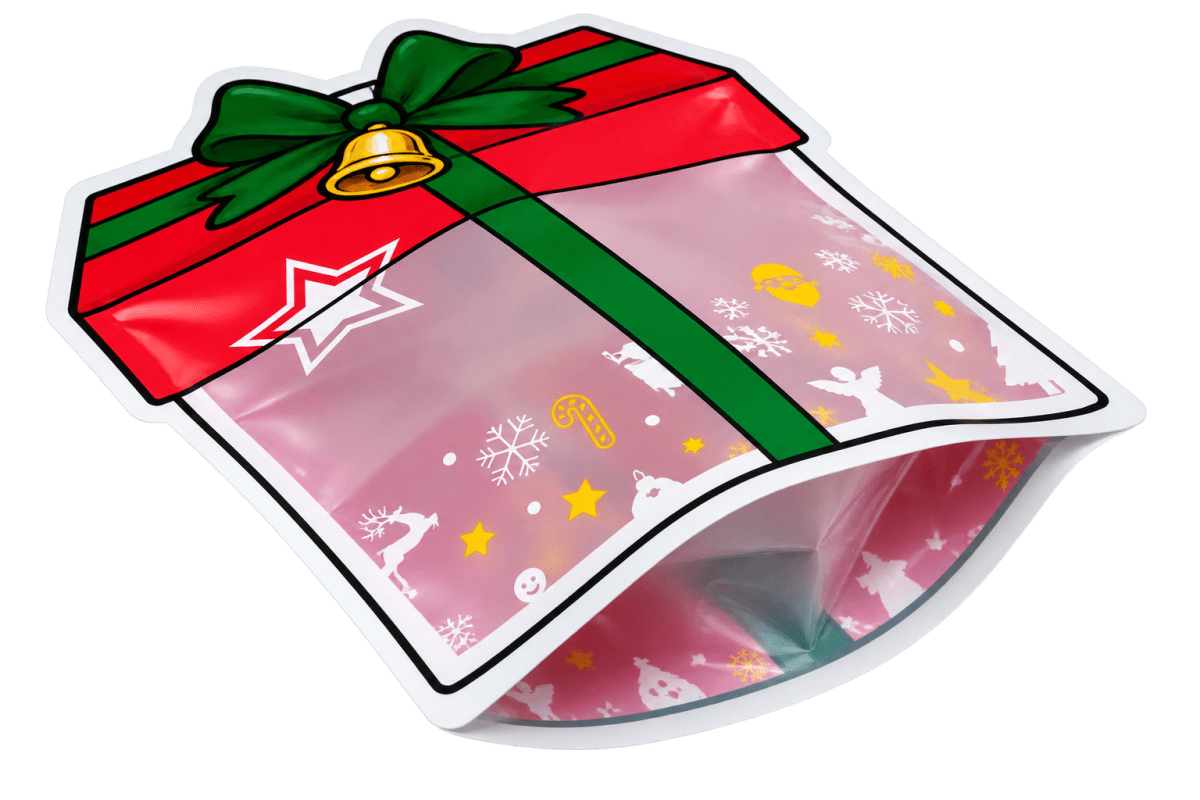Bolsa Doypack Regalo con Fuelle y Cierre 22x20 cm. 5 Unidades2