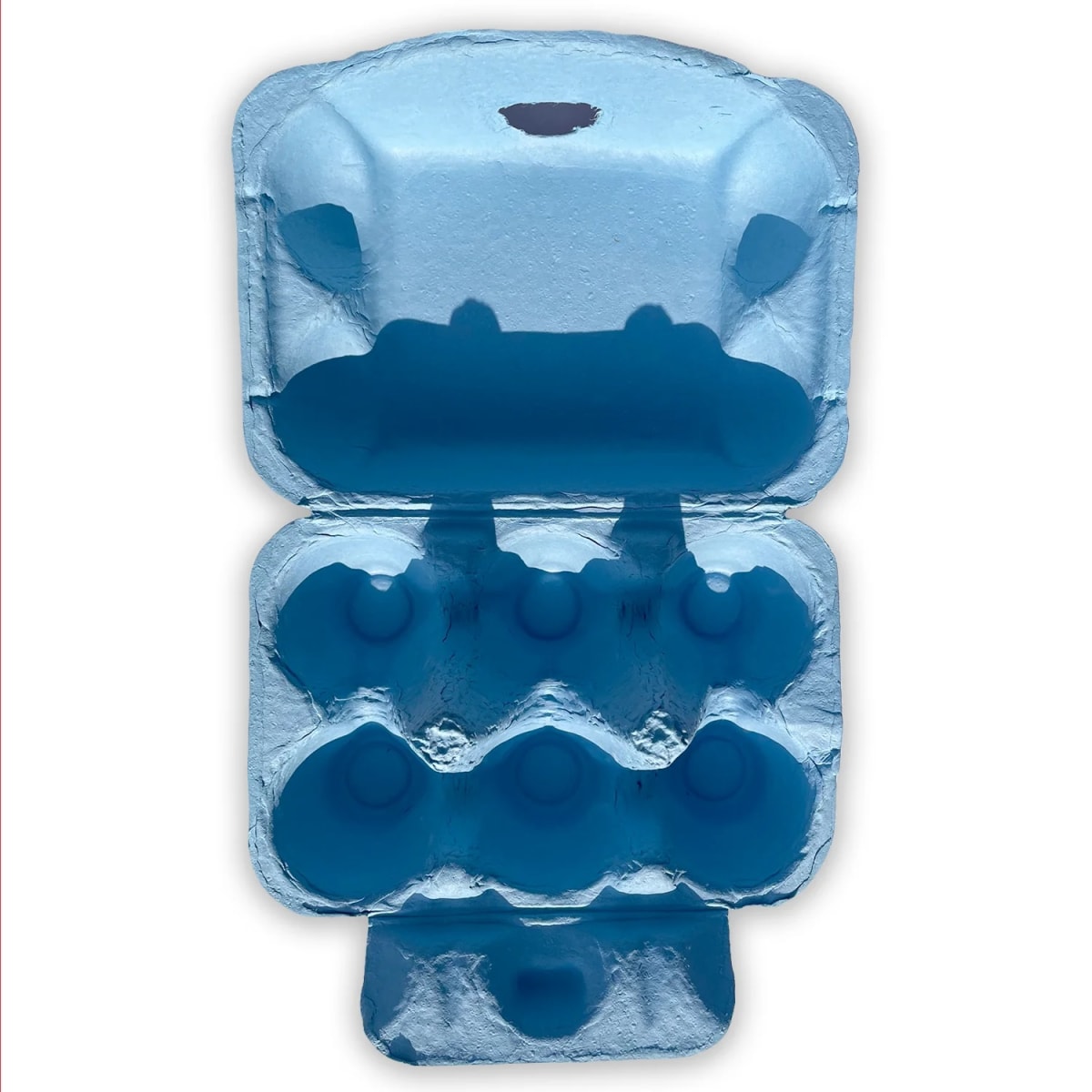 Caja para 6 Huevos Cartón Celeste 6 Unidades3