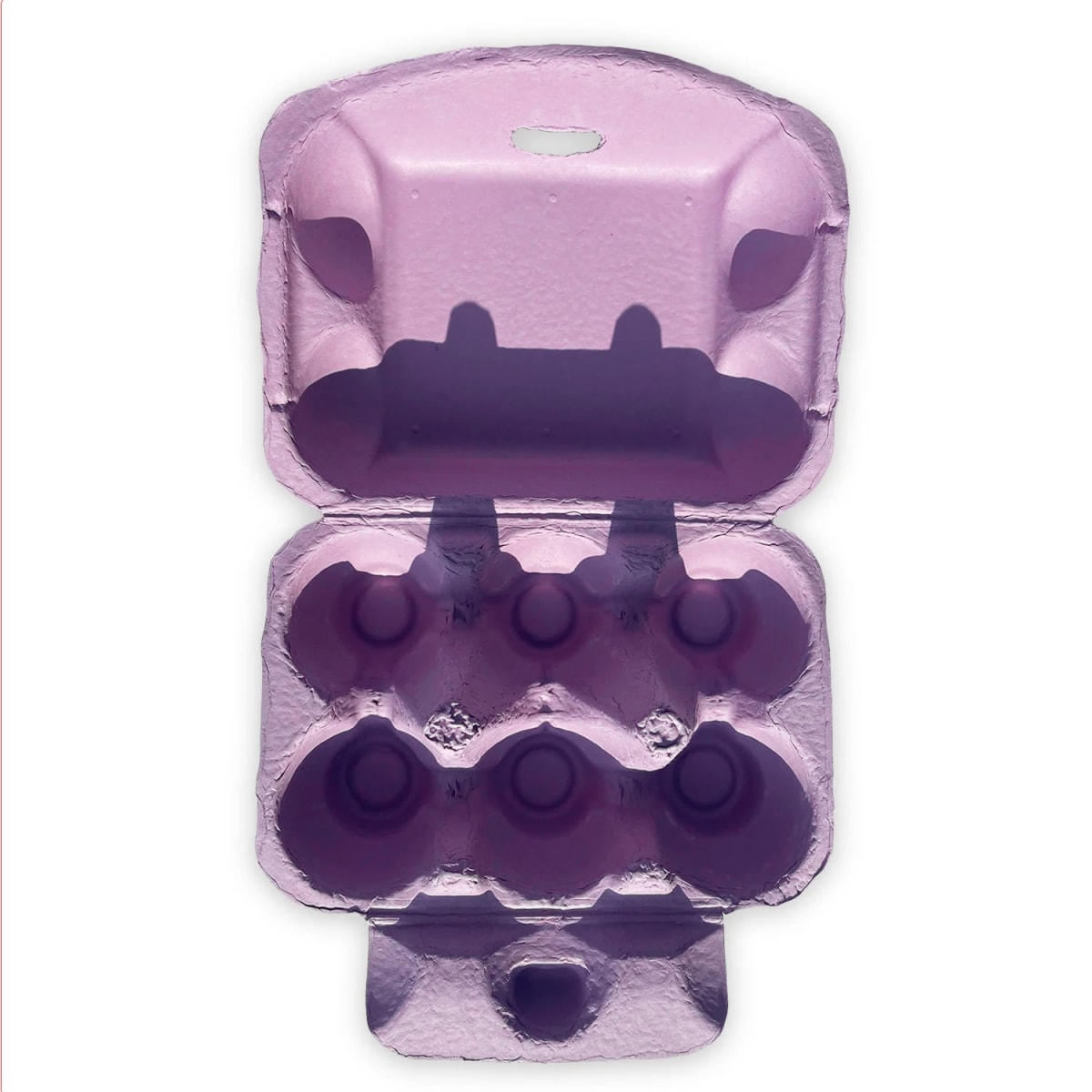 Caja para 6 Huevos Cartón Lila 6 Unidades2