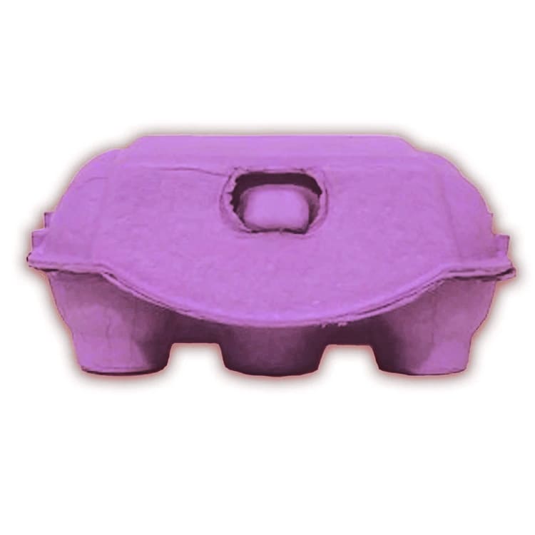 Caja para 6 Huevos Cartón Morado 6 Unidades3