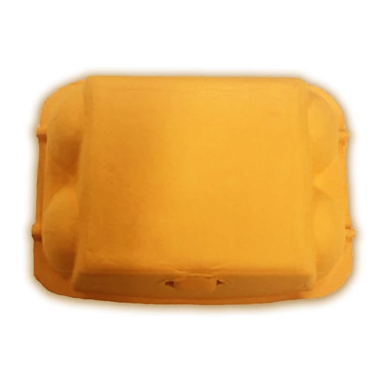 Caja para 6 Huevos Cartón Naranjo 6 Unidades2