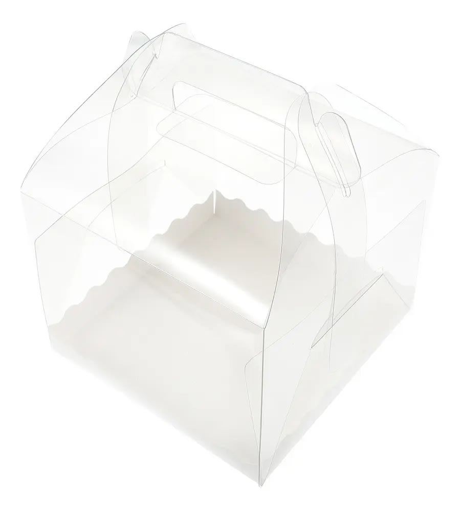 Caja Transparente con Asa 19,5x19,5*18 cm.5