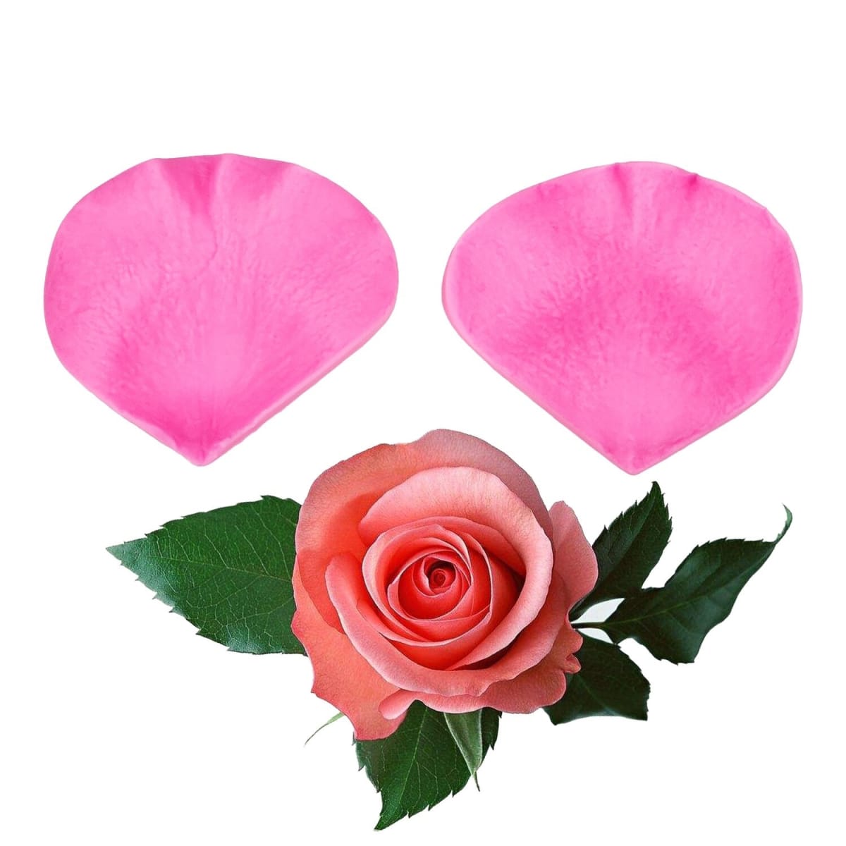 Molde Fondant Nervadura Pétalo de Rosa Silicona 0