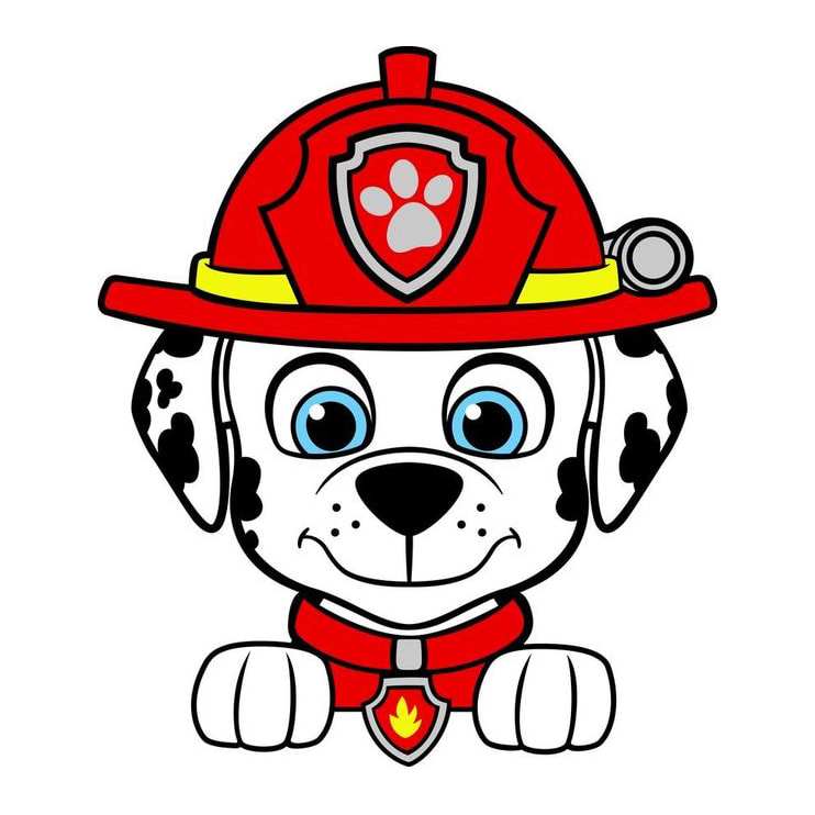 Cortador Plástico Marshall3