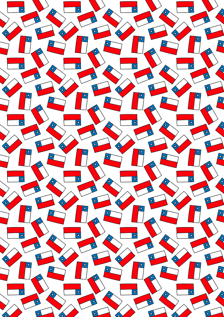 Papel Mantequilla Fiestas Patrias N°2 - 10 Unidades2