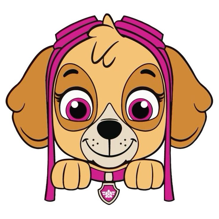 Cortador Plástico Skye3