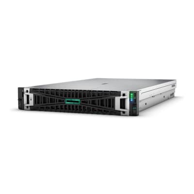 SERVIDOR HPE PROLIANT DL380 G11 XEON, 64GB, (P81496-DM5) (NT7)