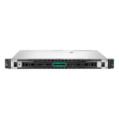 SERVIDOR HPE PROLIANT DL20 G11 XEON, 32GB, 960 SSD (P86721-DM5) (NT7)