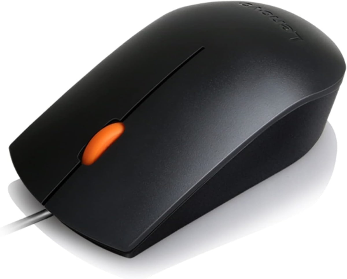 MOUSE LENOVO 300 USB NEGRO (GX30M39704)3