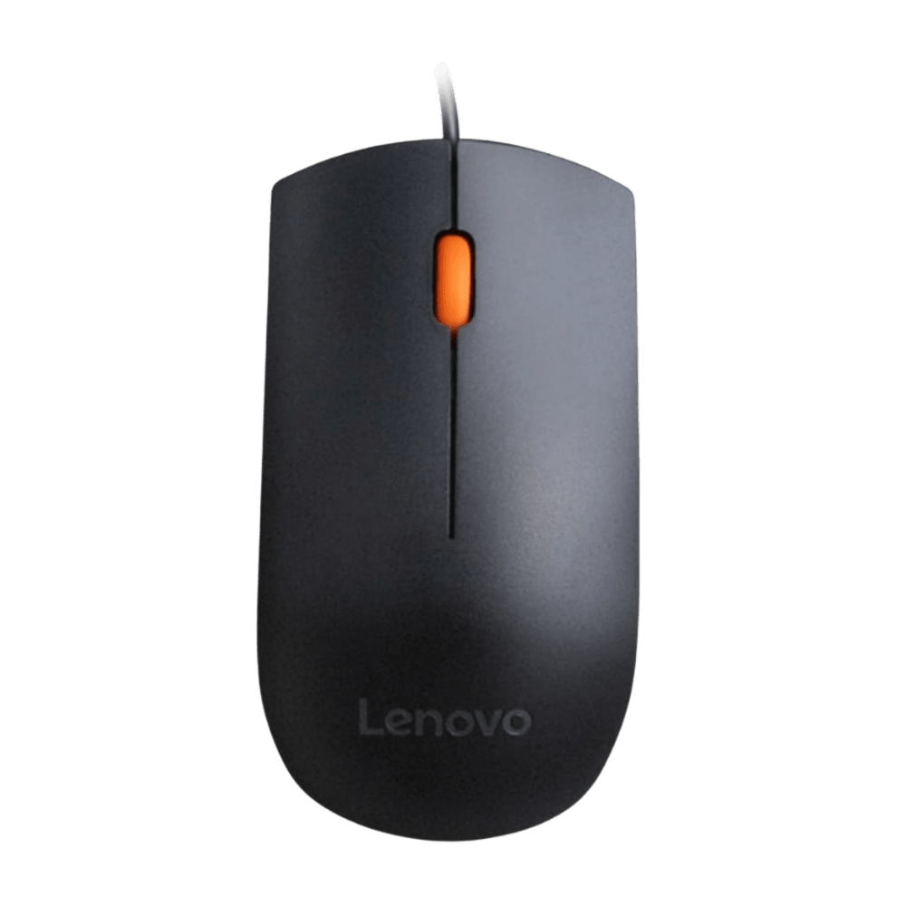 MOUSE LENOVO 300 USB NEGRO (GX30M39704) 0