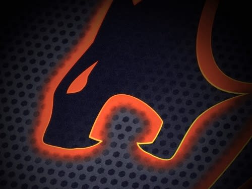 MOUSE PAD COUGAR ARENA BLACK XL (3PAREHBBRB5.0001)3