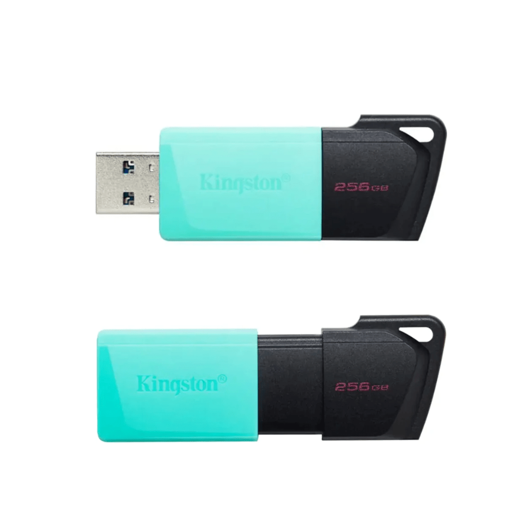 MEMORIA USB KINGSTON DATA TRAVELER EXODIA M 256 GB (DTXM/256GB) (NT4)3