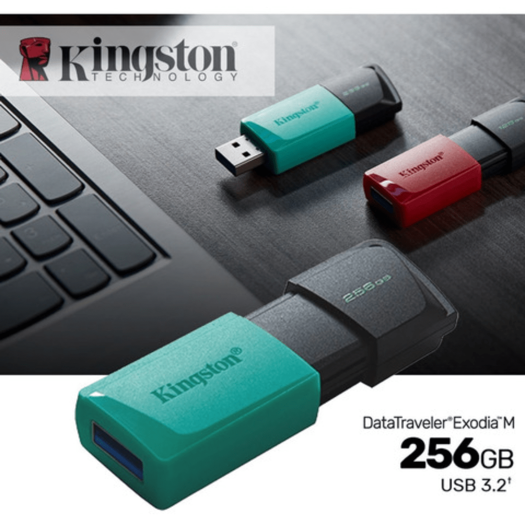 MEMORIA USB KINGSTON DATA TRAVELER EXODIA M 256 GB (DTXM/256GB) 1