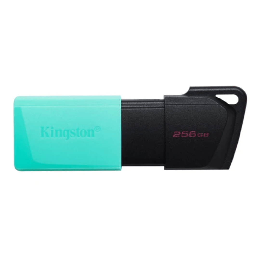 MEMORIA USB KINGSTON DATA TRAVELER EXODIA M 256 GB (DTXM/256GB) (NT4)1