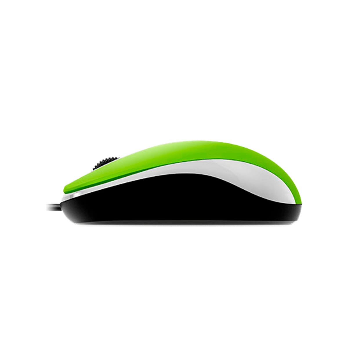 MOUSE GENIUS DX-110 USB OPTICO 1000 DPI GREEN (31010116105) (NT8)2