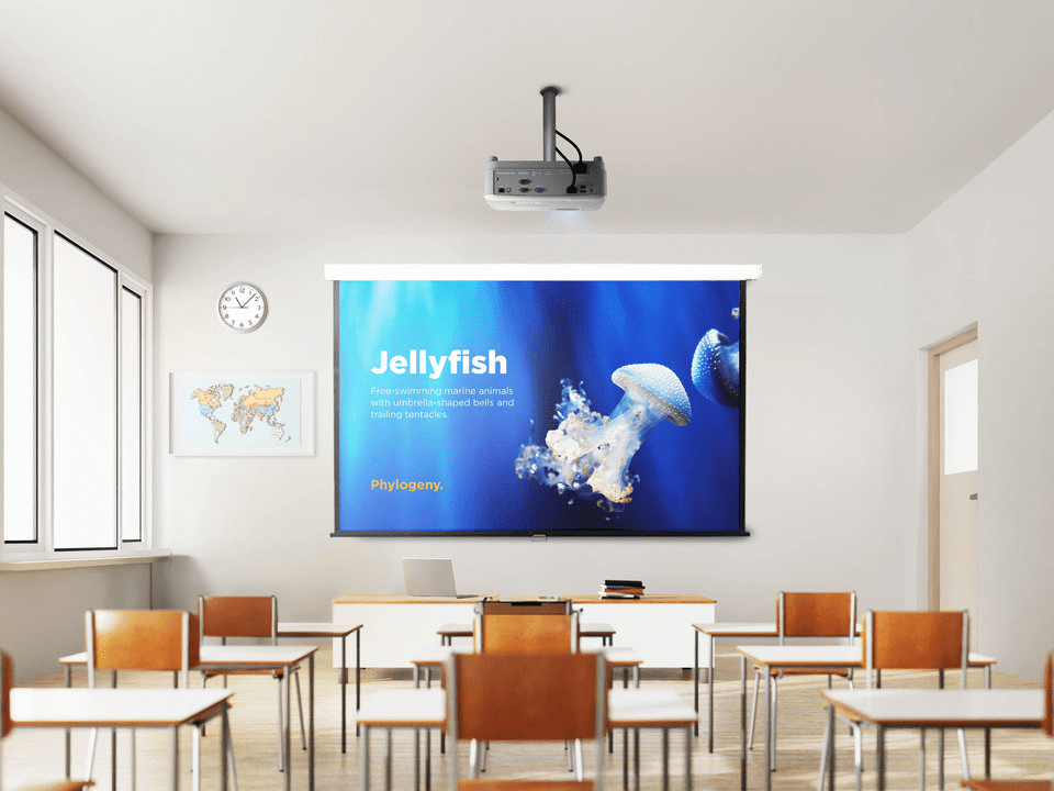 PROYECTOR VIEWSONIC PA504W - PROFESIONAL/EDUCATIVO WXGA 4.000 ANSI LÚMENES (PA504W) (NT3)18