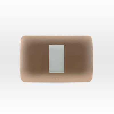 INTERRUPTOR BEIGE/TITANIO ARMADO SIMPLE LEXO