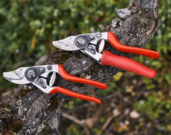 ¿Cómo elegir tu tijera Felco?