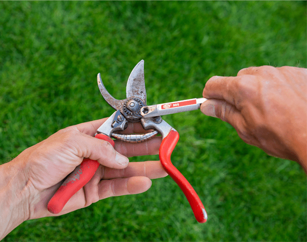 Conoce nuestro servicio de mantención para tijeras de poda Felco