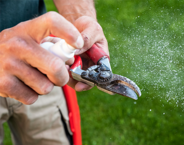Cuidados de tus tijeras de podar Felco