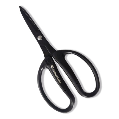 Chikasama Tijera negra