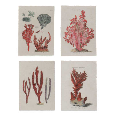 Set de 4 láminas coral