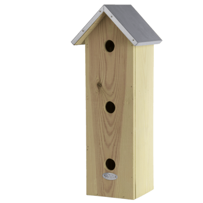CASA PAJARO 3 HOYOS