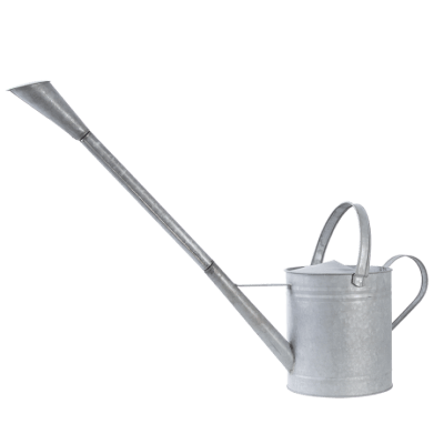 REGADERA ZINC TUBO EXTRA LARGO