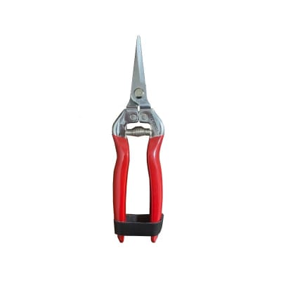TIJERA TRADICIONAL DE RALEO ACERO INOX 19 cm