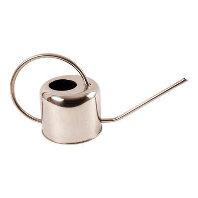 REGADERA PLATA 1L
