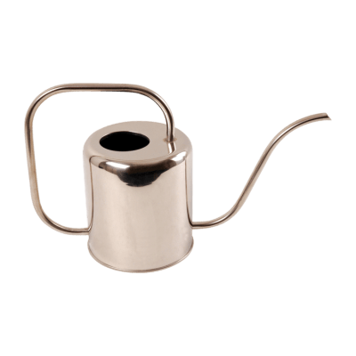 REGADERA PLATA 1,5L