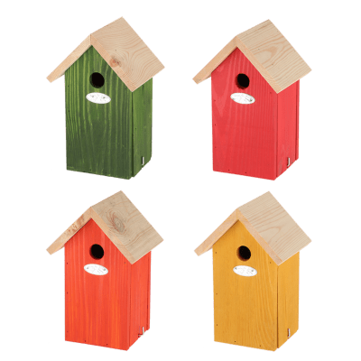 CASA DE PAJAROS COLORES VIVIDO