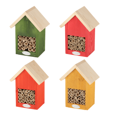 CASA ABEJA COLORES VIVIDOS