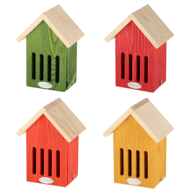 CASA MARIPOSA COLORES VIVIDOS