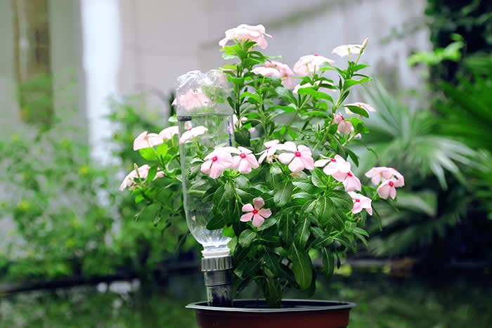 Autorregante Idris con botella3