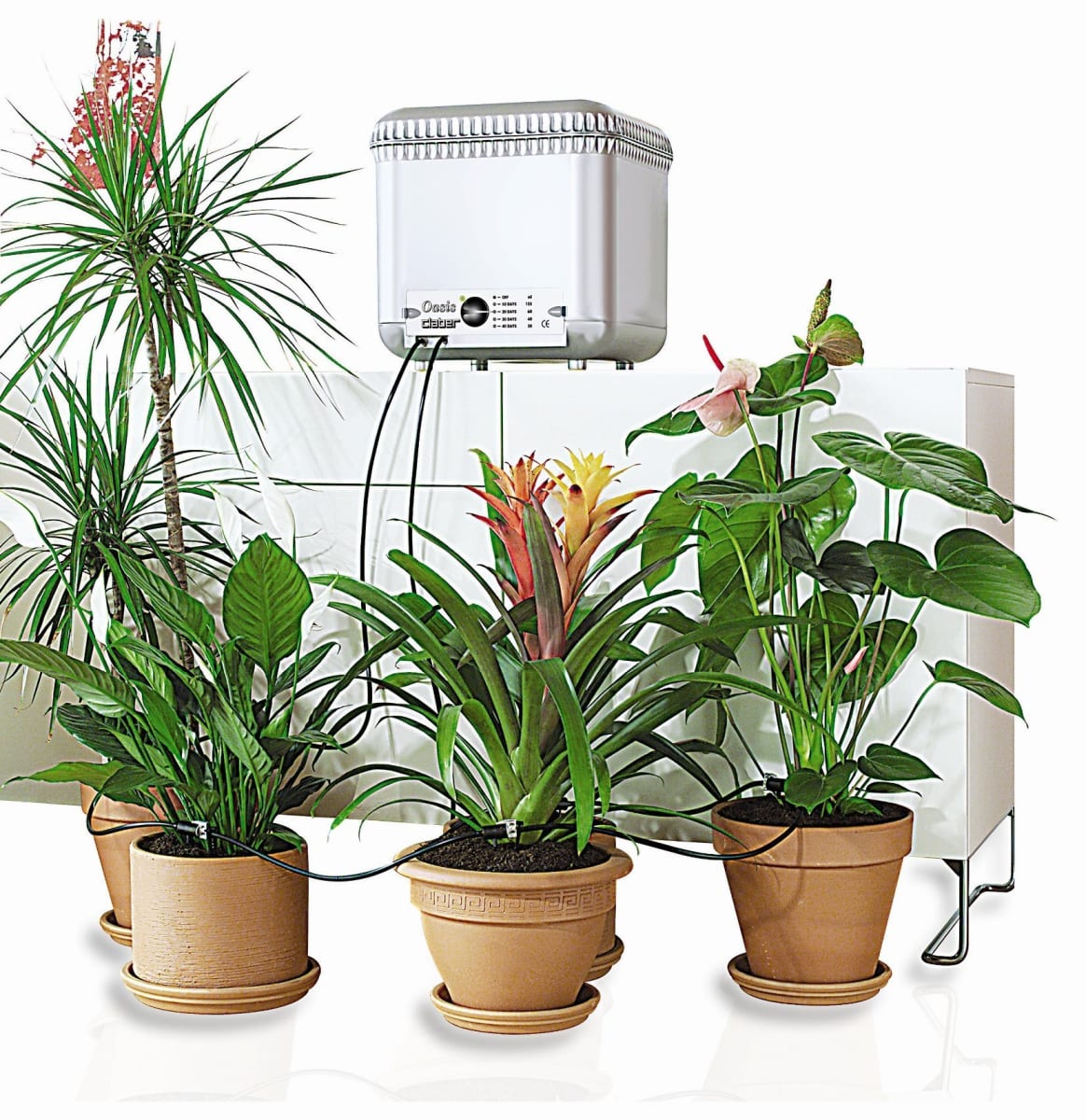 AUTORREGANTE OASIS CLABER2