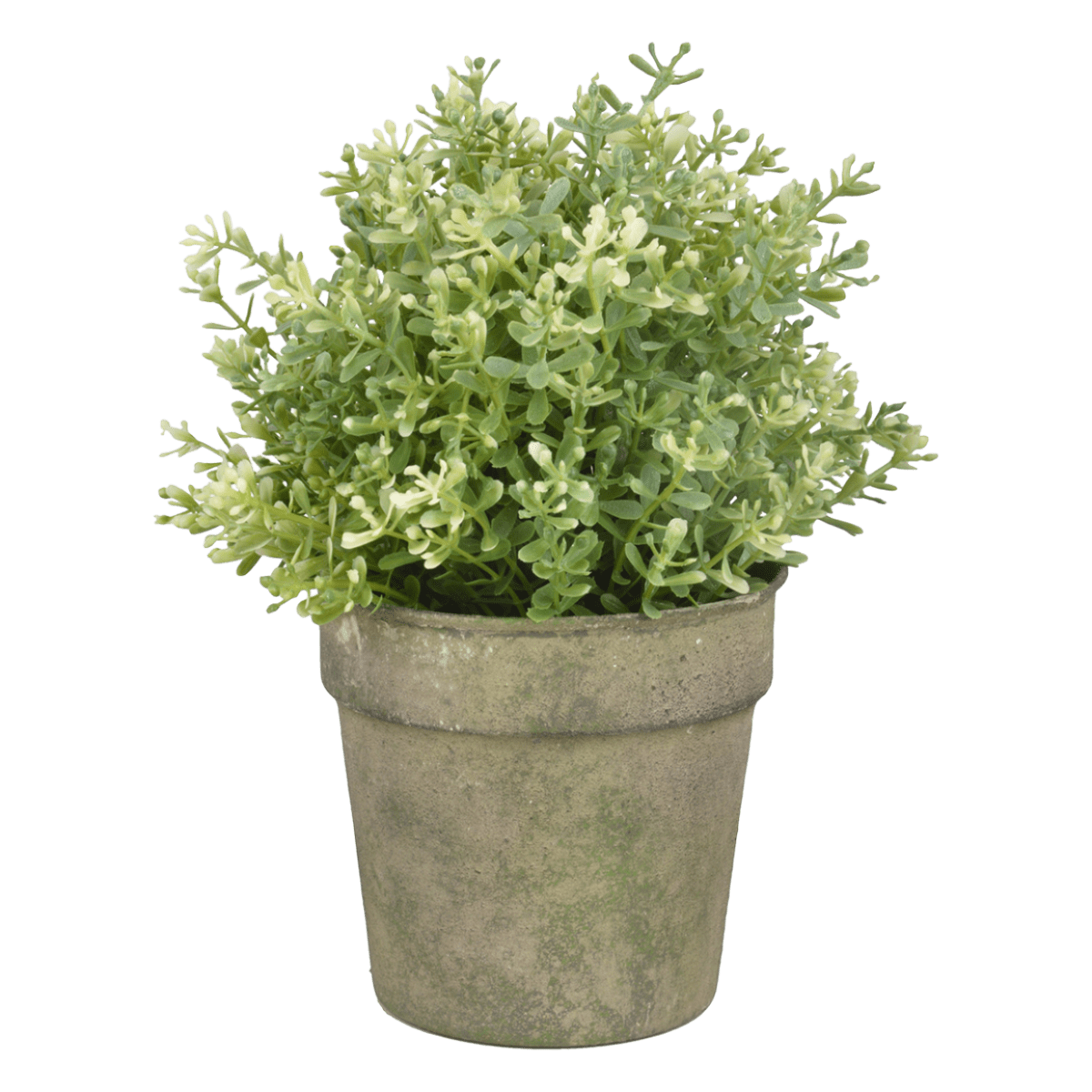 MACETERO METAL EFECTO MUSGO1