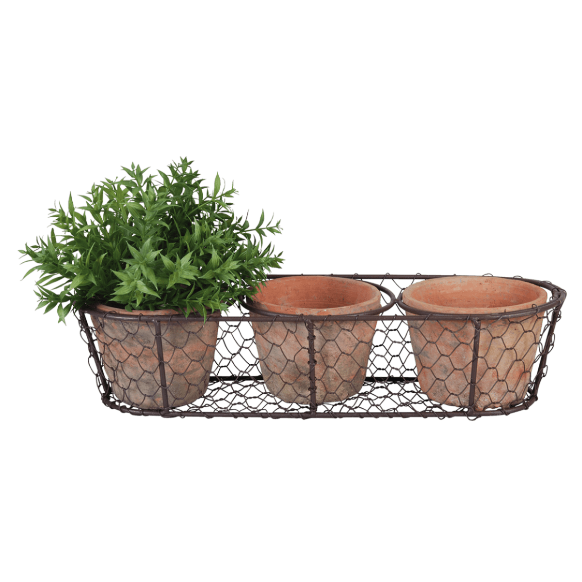 MACETERO MINI CON ALAMBRE (3)1